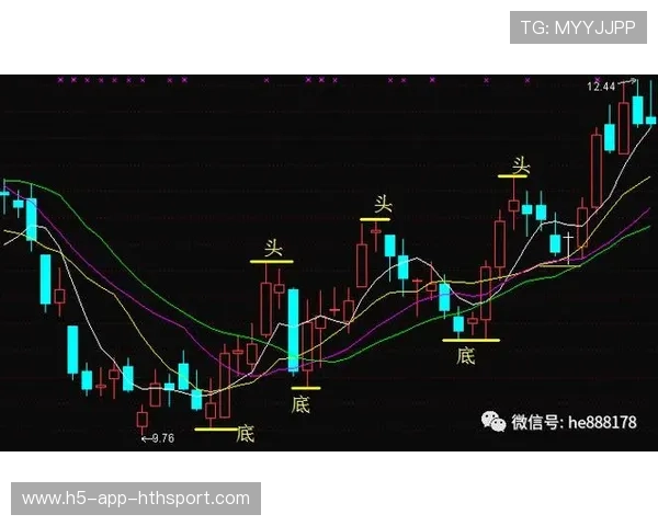 老鹰攻守策略：如何在关键回合保持组织性成为球队研究重点